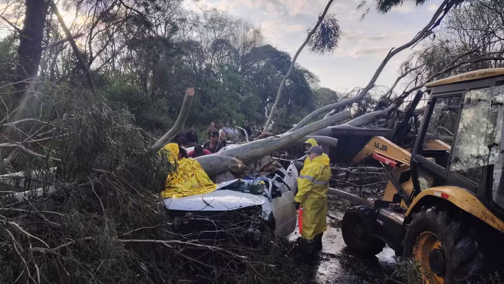 Temporal deixou dois feridos com queda de árvore sobre carro no norte do estado