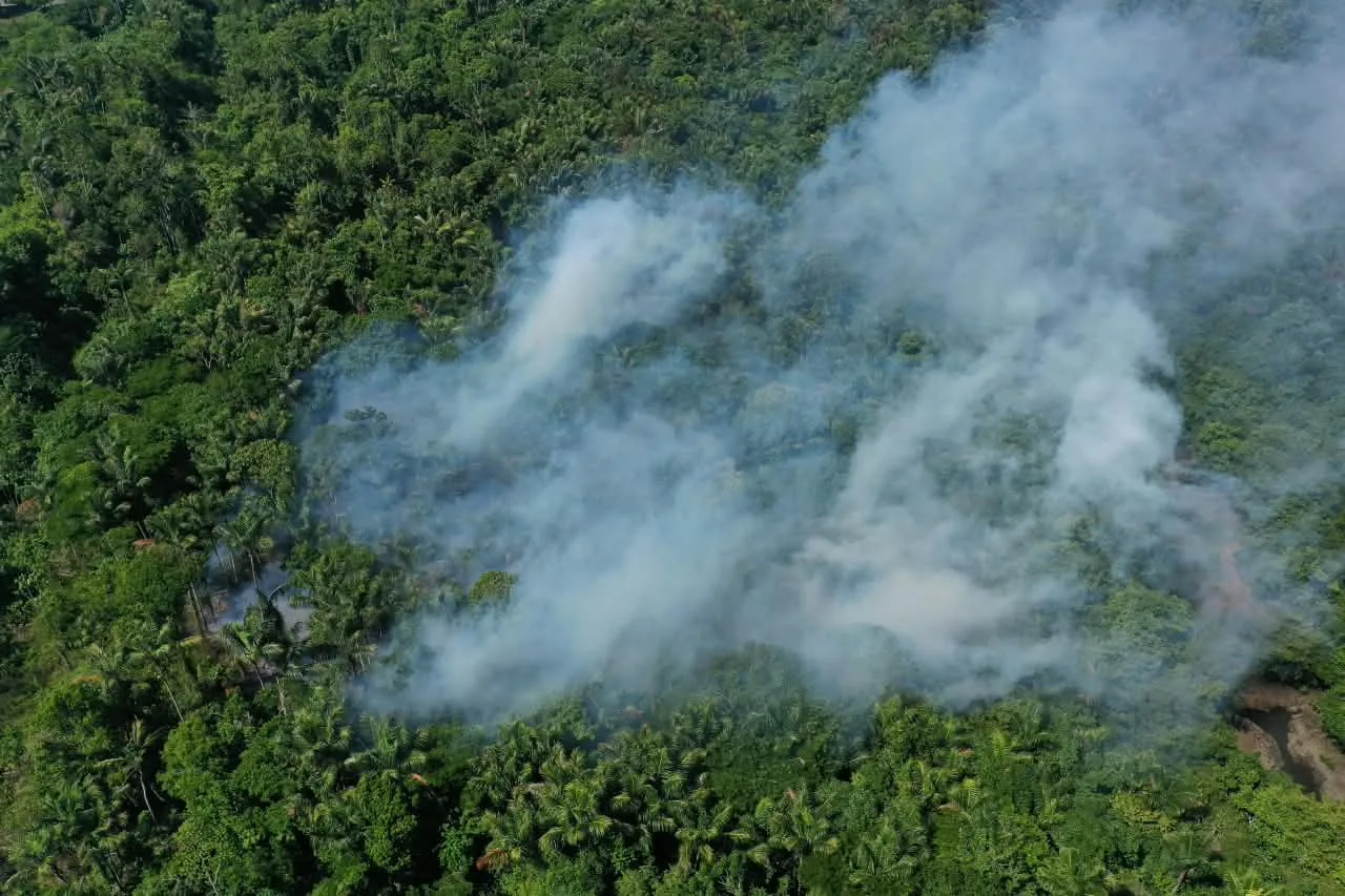 Região de floresta próxima a Manaus com foco de queimada ocorrida na terça (22).
