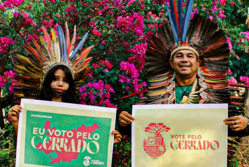 Organizações que trabalham com o Cerrado. Funatura, ISPN, Rede Cerrado