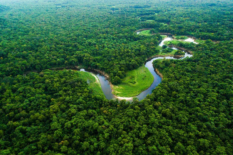 Com Lula, Amazônia registra o menor desmatamento em 41 anos