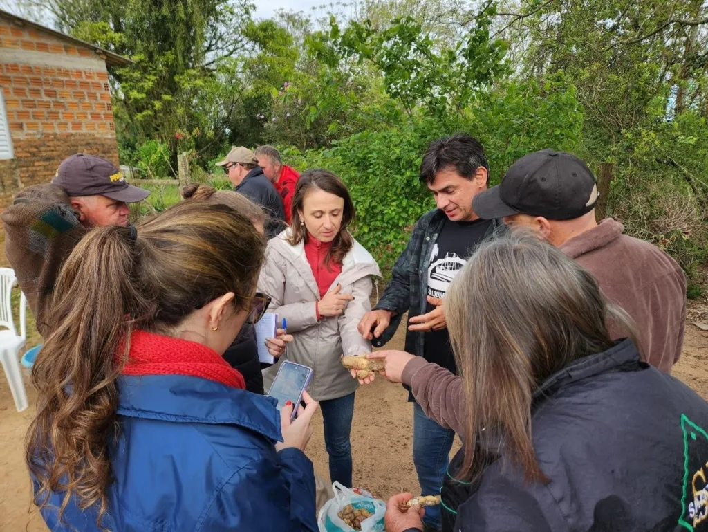 Atividade de campo do NEA PancPop promove a troca de conhecimentos e experiências sobre o cultivo de plantas alimentícias não convencionais (PANCs)