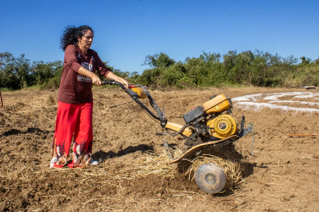 Artigo resgata perda de direitos durante o governo de Jair Bolsonaro