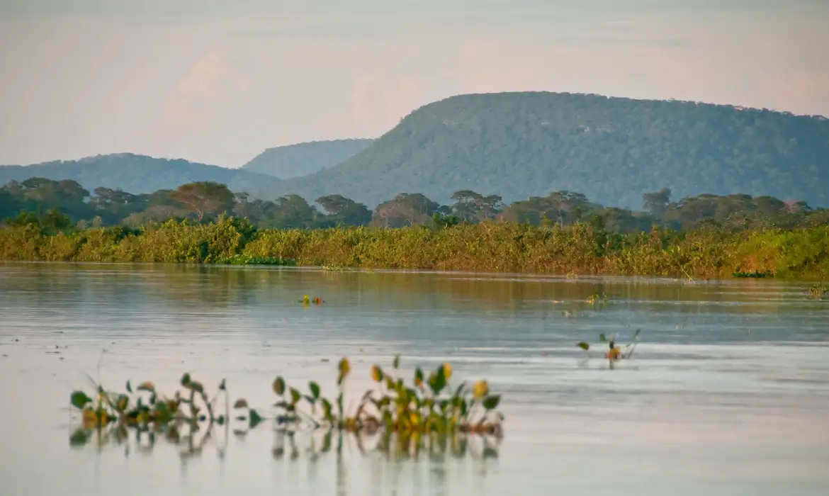 A maior parte da vegetação nativa deu lugar à área de agropecuária que cresceu de 46,7 milhões para 97,9 milhões de hectares