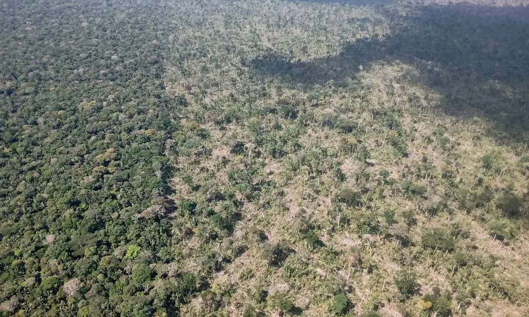 Imagem aérea de desmatamento na Terra Indígena Piripkura.