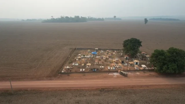 O cemitério da comunidade Baixa do Cipó, cercado pela soja O cemitério da comunidade Baixa do Cipó, cercado pela soja